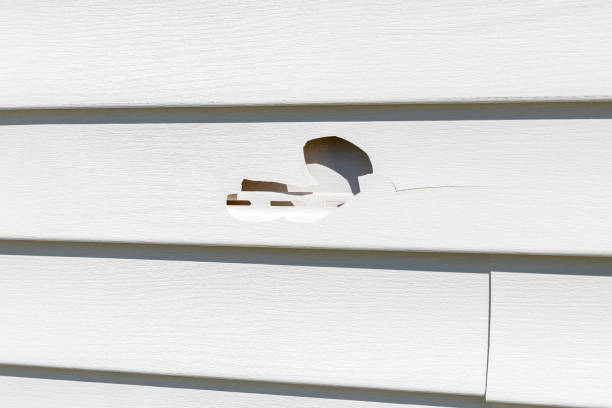 Best Historical Building Siding Restoration  in Newark, NJ