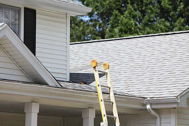 Best Siding for New Construction  in Newark, NJ