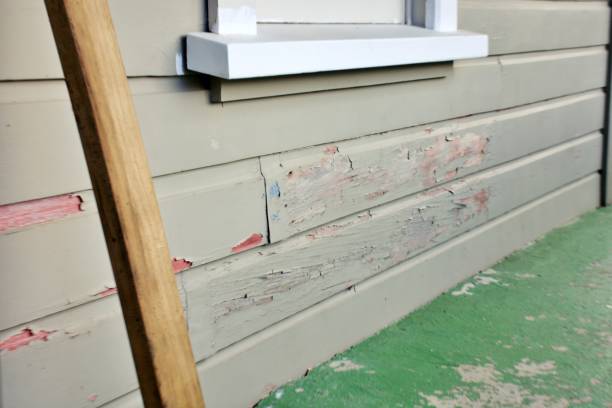 Best Stone Veneer Siding  in Newark, NJ