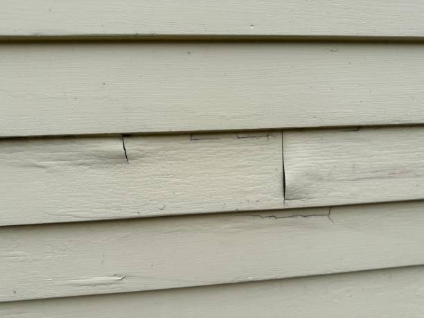 Best Weatherproofing and Sealing  in Newark, NJ